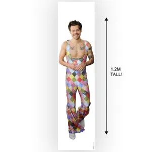 Harry Styles Portrait Banner Decoration - 1.2m