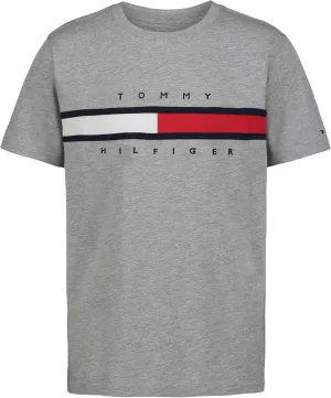 Tommy Hilfiger Boys' Short Sleeve Legacy Crew Neck T-Shirt